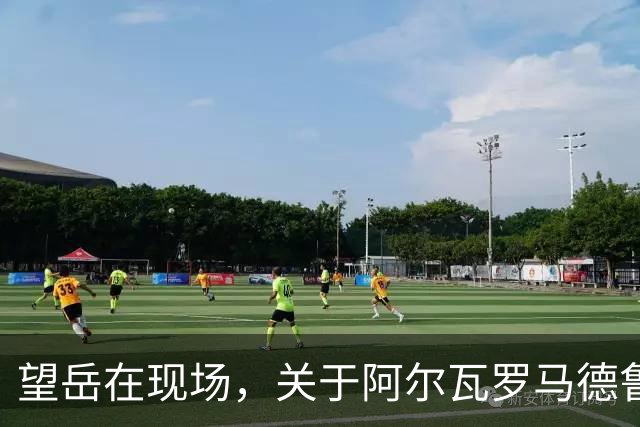 望岳在现场，关于阿尔瓦罗马德鲁加和引援，宿茂臻给出最新答案